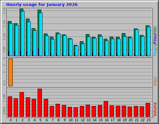 Hourly usage for January 2026